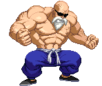 Support Characters - Dragon Ball Z: Extreme Butōden