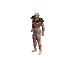 Ahoul Leather Shoulderpads - Siege of Avalon