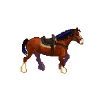 Horse - To the Moon
