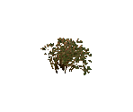 Shrub Type 1 - Stronghold