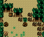 West Jungle - Survival Kids 2: Escape the Twin Islands