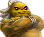 Character Portraits - Hyrule Warriors