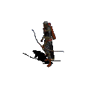 Sorcerer in Medium Armor with Bow - Diablo / Diablo: Hellfire