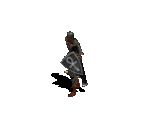 Sorcerer in Medium Armor with Shield - Diablo / Diablo: Hellfire