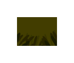 Maps - Art Style: Rotozoa
