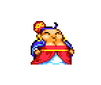 Stylist - Shantae and the Pirate's Curse