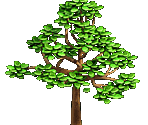 Gigant Tree - Zombie Island