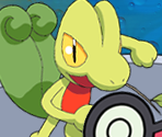 Game Instructions - Pokémon Team Turbo