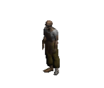 Elzix - Diablo 2 / Diablo 2: Lord of Destruction