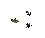 Spider - Diablo 2 / Diablo 2: Lord of Destruction