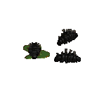 Larvae - Diablo 2 / Diablo 2: Lord of Destruction