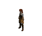 Fara - Diablo 2 / Diablo 2: Lord of Destruction