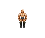 Steve Austin - WWF Road to WrestleMania