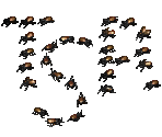 Scarabs - Diablo 2 / Diablo 2: Lord of Destruction