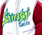 Jersey - Princess Maker 5