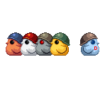 Chicks - Nuga-Cel!