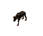 Wolf - Diablo 2 / Diablo 2: Lord of Destruction