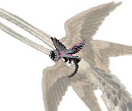 Bet Bird - Middens