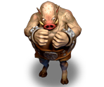 Boar - Dragon Fin Soup