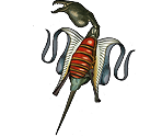 Twit Fly - Middens