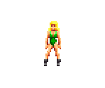 Jill - Jill of the Jungle