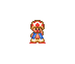 Toad - Super Mario All-Stars: Super Mario Bros. 2