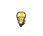 Toad Shot - Super Princess Peach