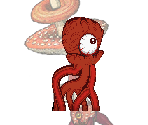 Fungi Wungi - Middens