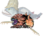 Hotel Fish Infantry - Middens