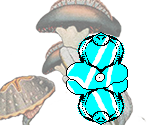 Glowbro - Middens