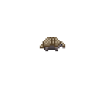 Armadillo - Starbound