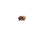 Desert Tortoise - Starbound