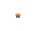 Float Bag - Starbound