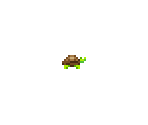 Tortoise - Starbound