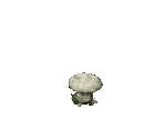 Champignon Toadstool Chair - The Sims