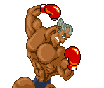 Super Macho Man - Super Punch-Out!!