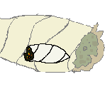 Obese Doobie - Space Funeral: Earth Birth