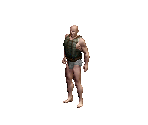 Brv Hrt Vest - Siege of Avalon