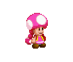 Toadette - Mario & Luigi: Paper Jam