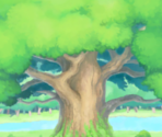 Backgrounds - Dancing? Pokémon Band