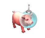 Pig Corie - Big Farm Theory