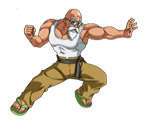 Master Roshi - Dragon Ball Z Dokkan Battle