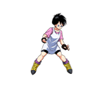 Videl - Dragon Ball Z Dokkan Battle