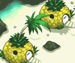 Shallow Beach - Pokémon Mystery Dungeon: Red Rescue Team