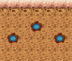 Meteor Cave - Pokémon Mystery Dungeon: Red Rescue Team