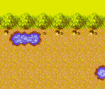 Uproar Forest - Pokémon Mystery Dungeon: Red Rescue Team