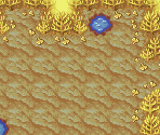 Lightning Field - Pokémon Mystery Dungeon: Red Rescue Team