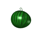 Fruits - Beetle Junior