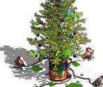 Chrismas Tree - Total Domination