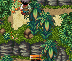 Barren Land Forest - Astonishia Story